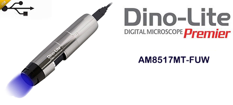 AM8517MT-FUW