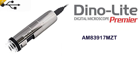 AM83917MZT