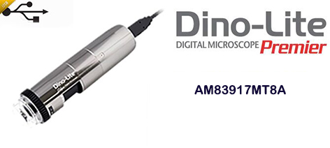 AM83917MT8A